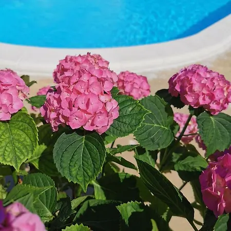 Mise Luxury * Kaštela