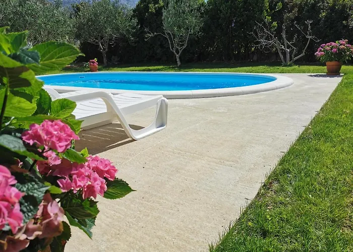 Mise Luxury